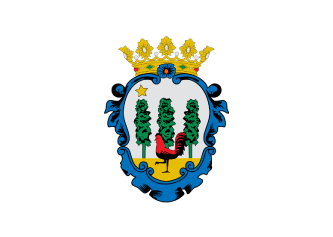 Seguros en Pollensa